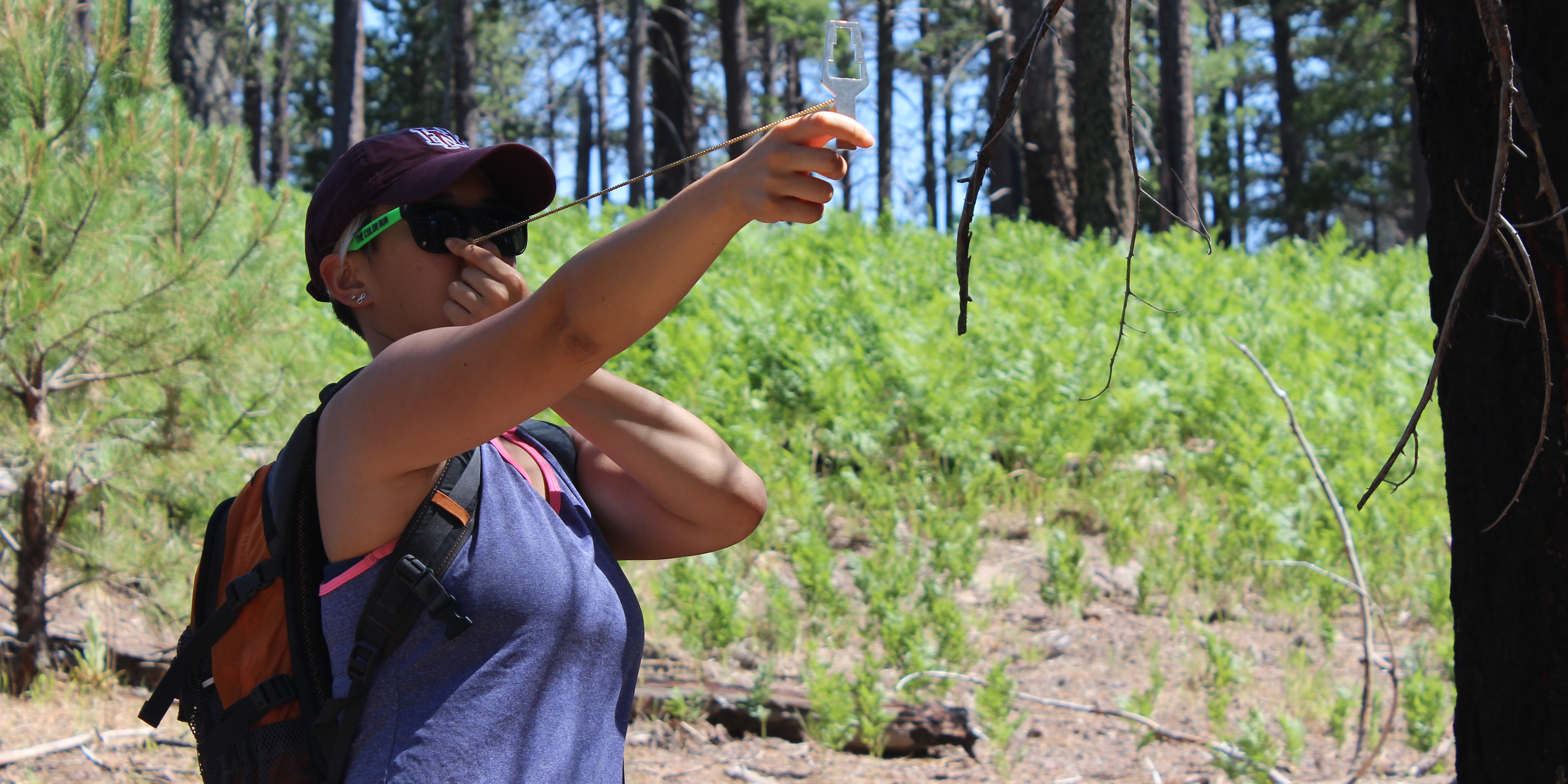 Earthwatch has awarded fellowships to nearly 2,000 high school students through our Ignite and Girls in Science programs, and nearly 6,000 educators from all grades and disciplines through our Teach Earth and Project Kindle fellowships.